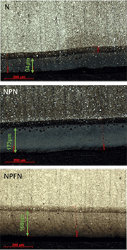  图1：OM照片观察N，NPN和NPFN样品的横截面