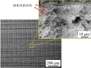 图2：表面的SEM图像(插图中的放大图像显示出纳米波纹结构)