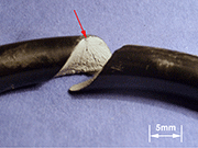 图1：由于SAE 9254螺旋弹簧的质量不高的强化表面，其无法永久性使用。箭头表示开始断裂区域。无可见的疲劳裂纹扩展。放大倍率：5x。来源：Testmat。