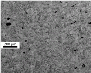 (b) 光学图像

图2：(a)电子背散射衍射图像(EBSD)和(b)所研究材料的光学显微图